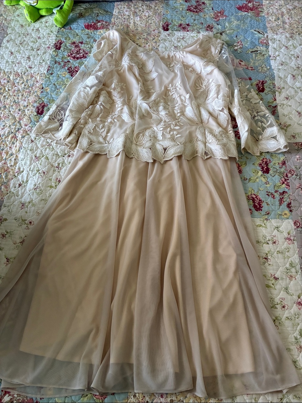 Alex Evenings Cream Lace Bodice Chiffon Skirt Dress